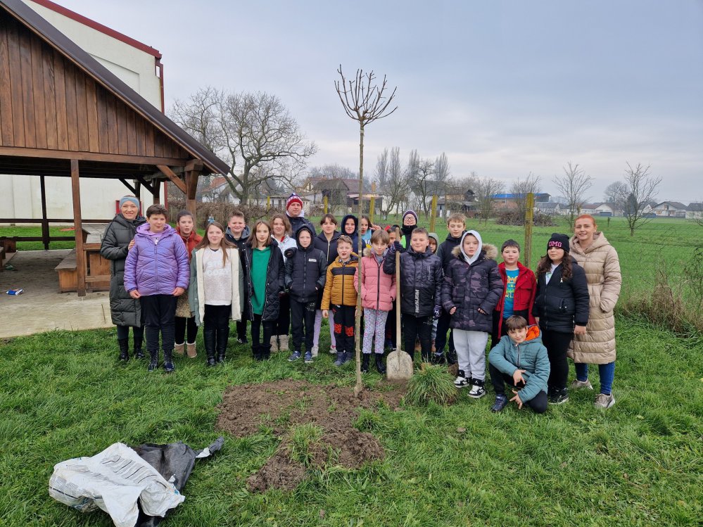 USPJEŠNO PROVEDENA AKCIJA UDRUGE “ZASADI STABLO, NE BUDI PANJ!” U VALPOVU!